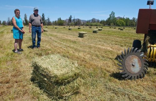 Hay harvest, first cutting 2011