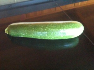 "Baseball bat" zucchini