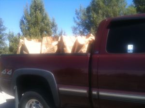 Yet another truckload of weeds ready to go to recycling center.